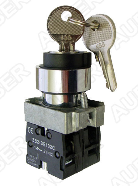 Key Selector Switch, 2-Position Maintained, 22mm - Click Image to Close