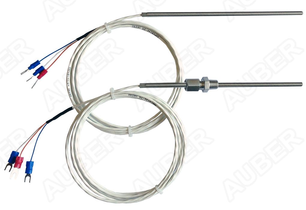 Pt100 RTD, 6 in (150 mm) Probe, Adjustable Length - Click Image to Close