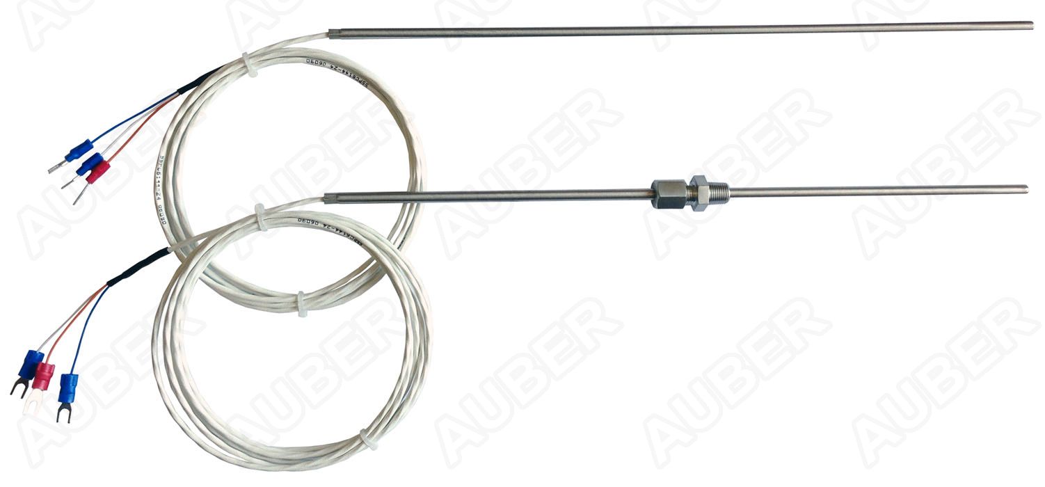 Pt100 RTD, 12 in (300 mm) Probe, Adjustable Length - Click Image to Close