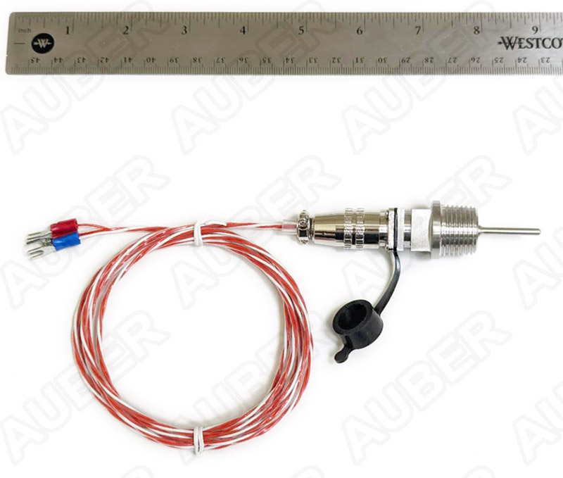 Stainless steel RTD temperature sensor for brewing