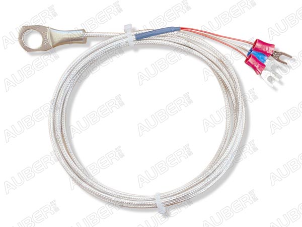 Oil/water tank sensor, washer RTD type (Type 2) - Click Image to Close