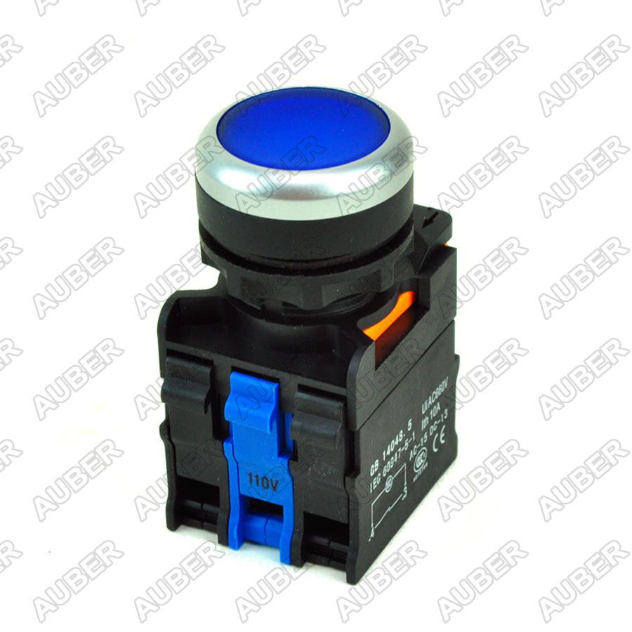 Illuminated Short Profile 22mm Pushbutton Maintained / Momentary