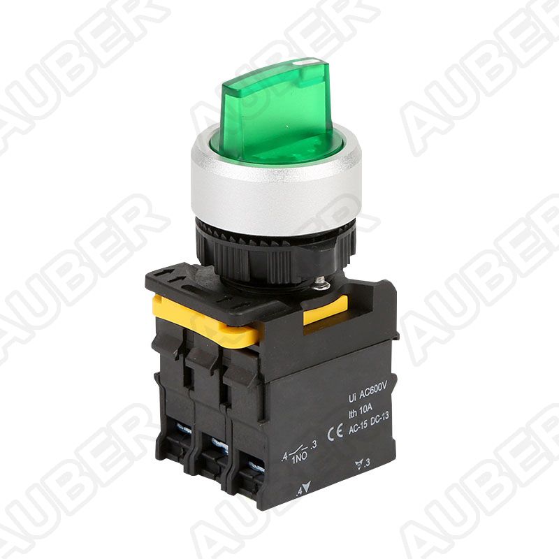Waterproof 2P Maintained Illuminated 22mm Selector Switch - Click Image to Close