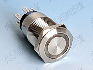RGB Color Illuminated Metal Momentary Push Button Switch,19mm 6V - Click Image to Close