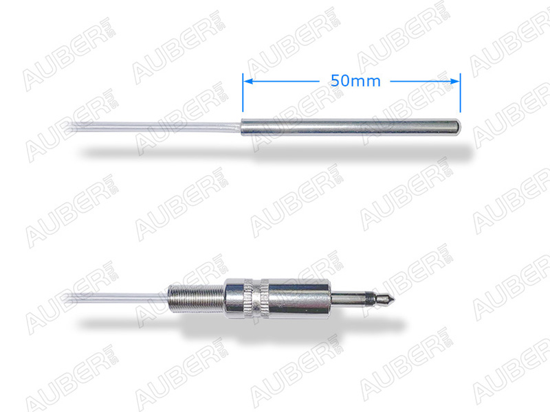 Immersion sensor for H series WS and WSD controller (Sous Vide)